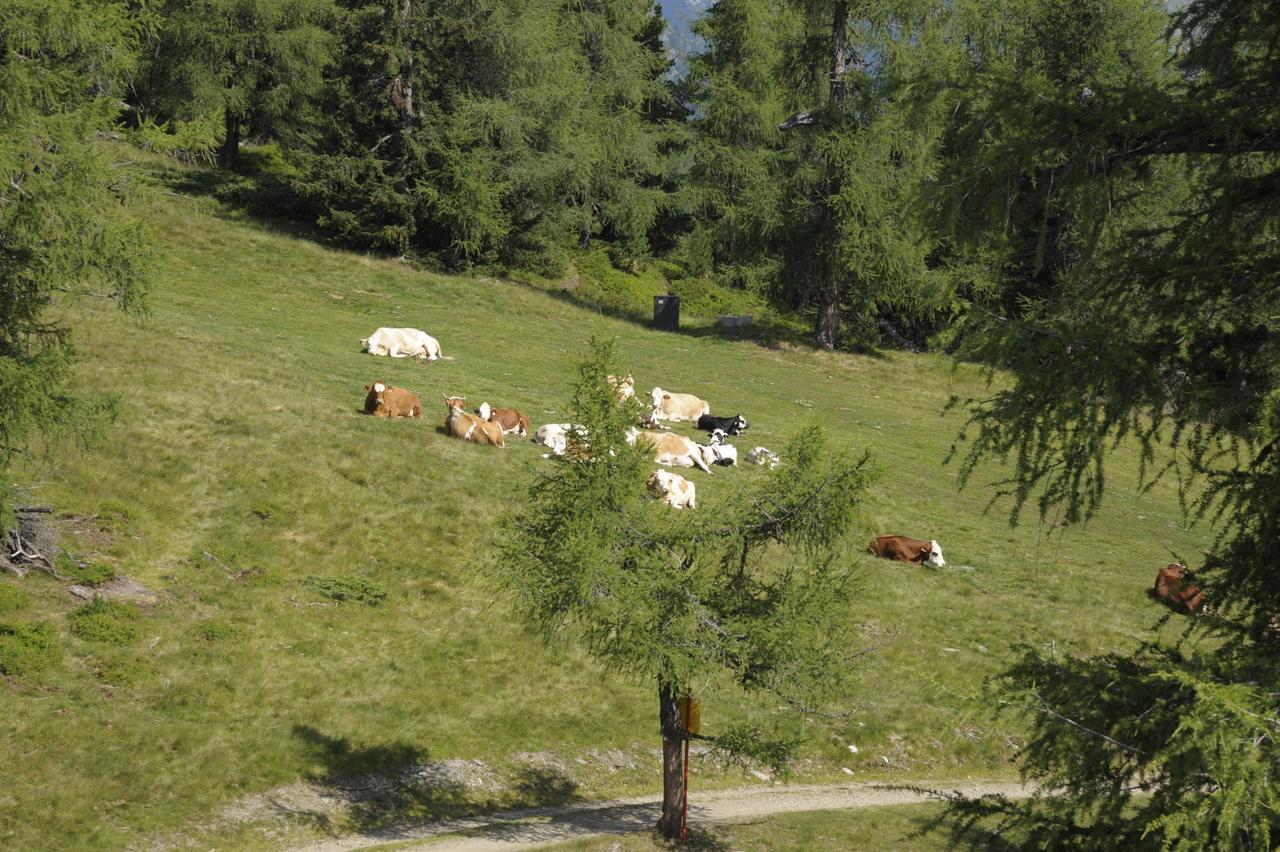 Chaletdorf-Fanningberg Weisspriach Ngoại thất bức ảnh