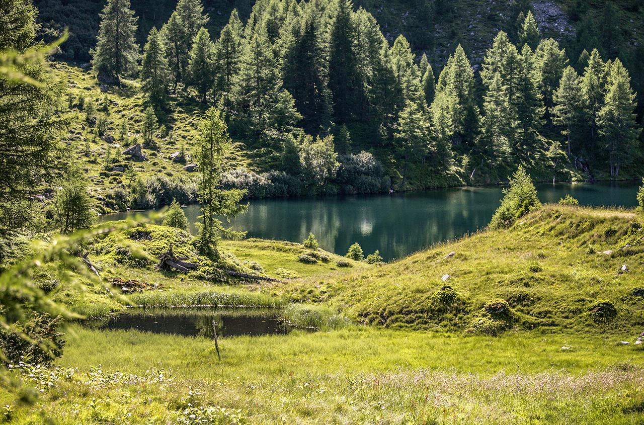 Chaletdorf-Fanningberg Weisspriach Ngoại thất bức ảnh